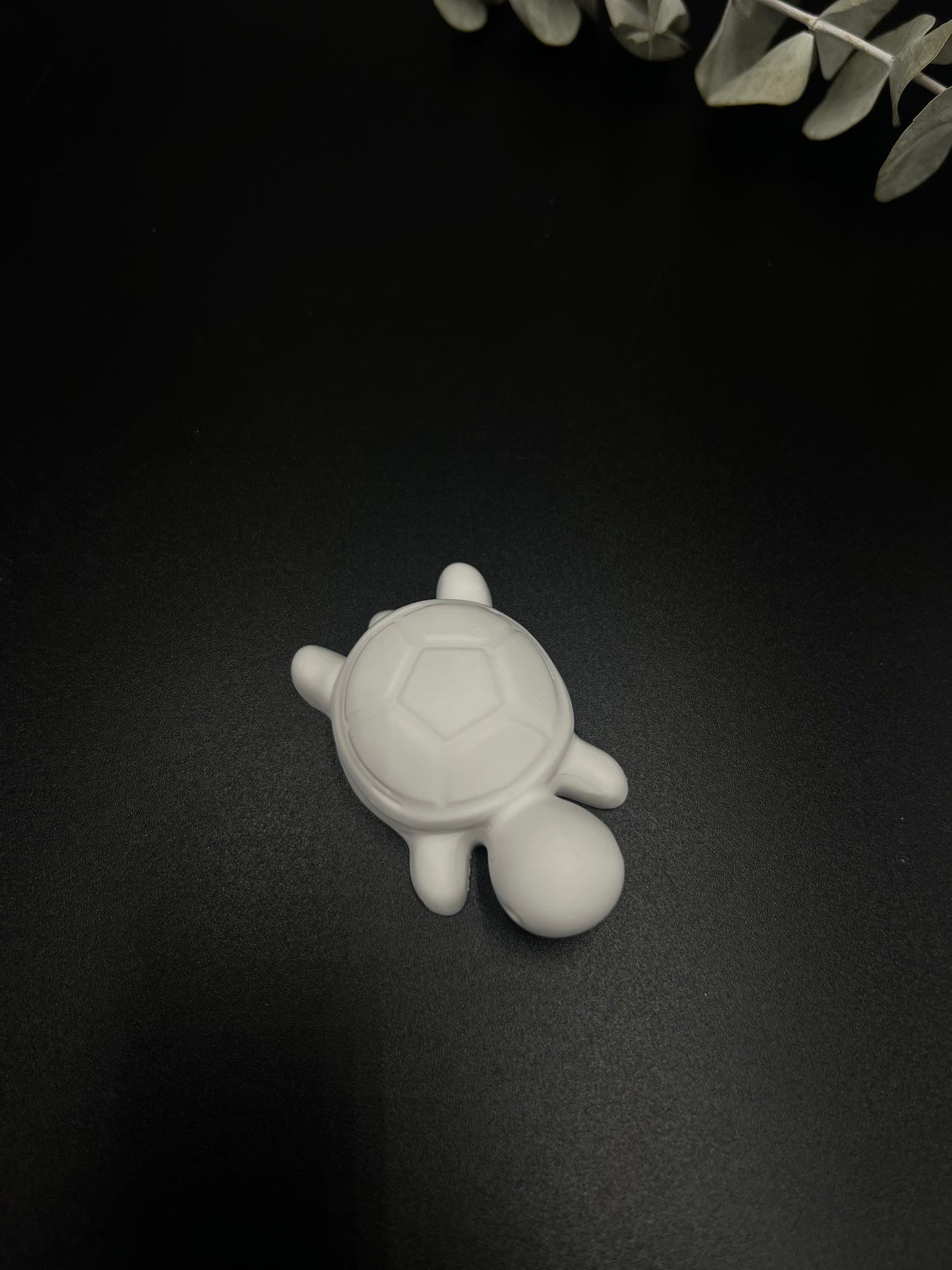 Mini-Schildkröte