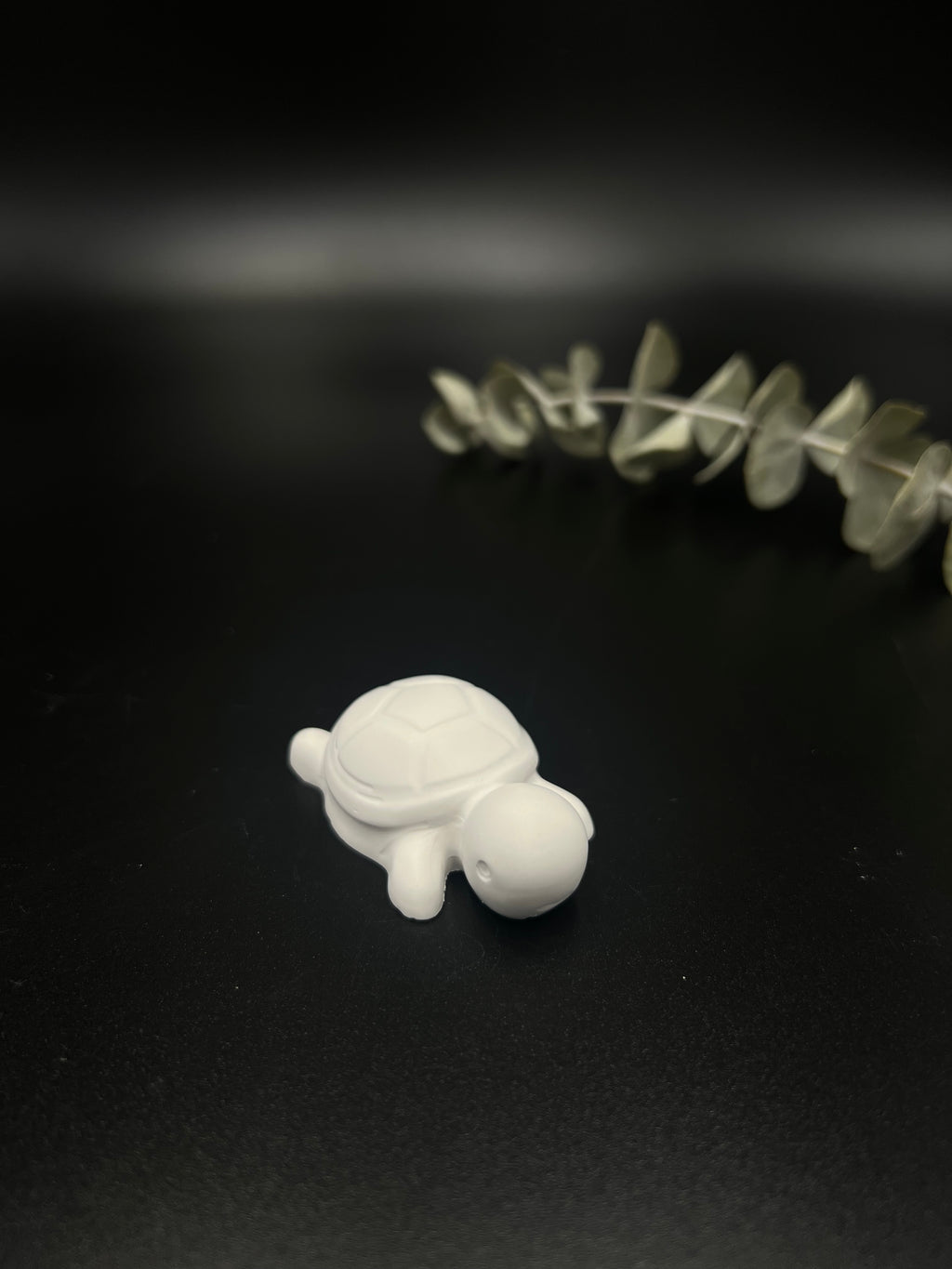 Mini-Schildkröte